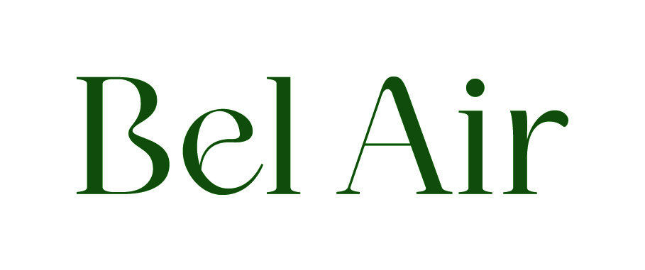 Logo Bel air bussy Saint-georges